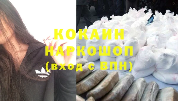 стаф Россошь