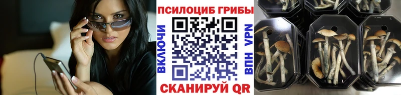 Галлюциногенные грибы прущие грибы  Узловая 