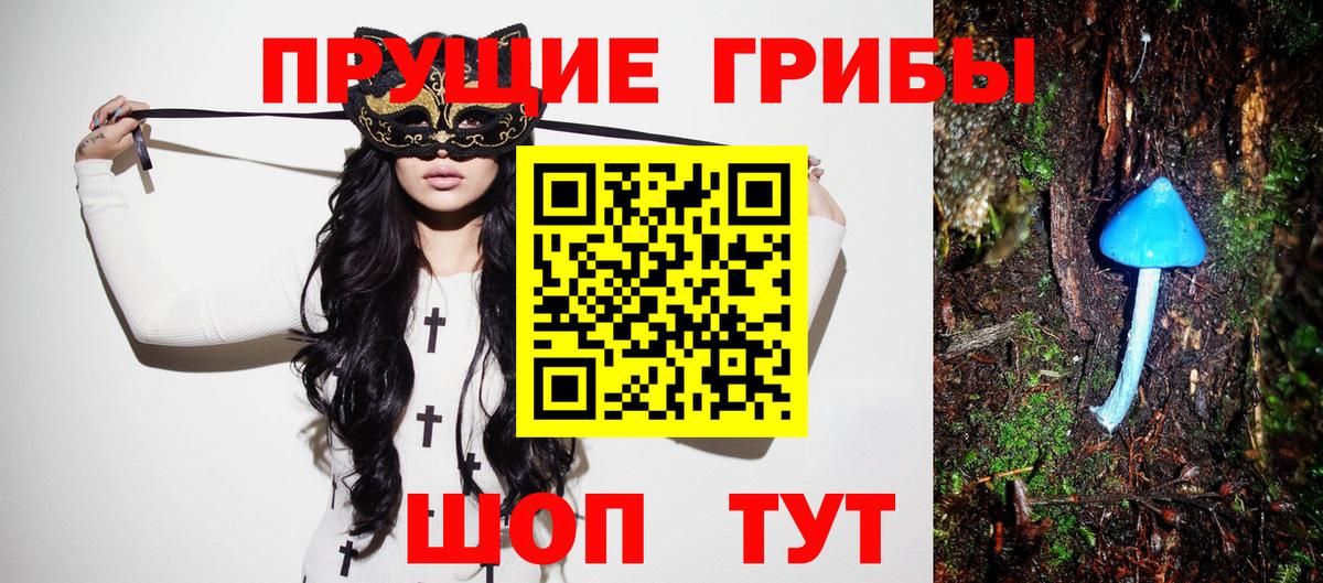 Узловая  Псилоцибиновые грибы прущие грибы  Вход с VPN 